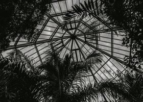 A Greenhouse of Small Experiments