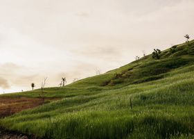 Hill Curio cover photograph — a green hillside under a deep blue sky